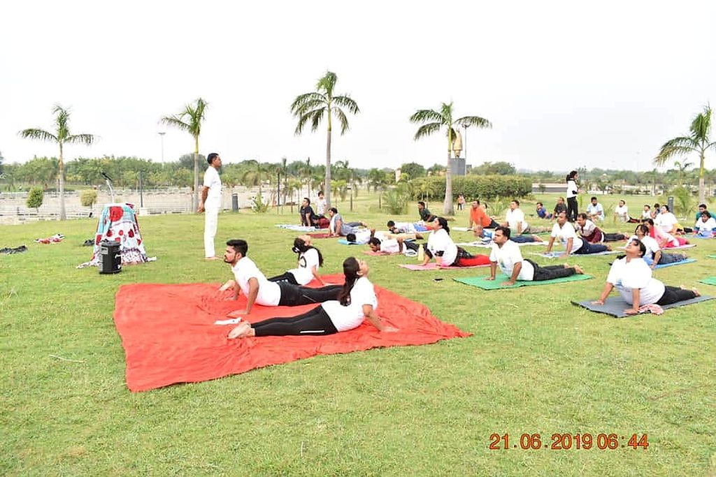 Dozens of participants on mats on a lawn lined with palm trees, practising a cobra-style backbend, with an instructor standing at the front